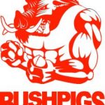 bushpigs